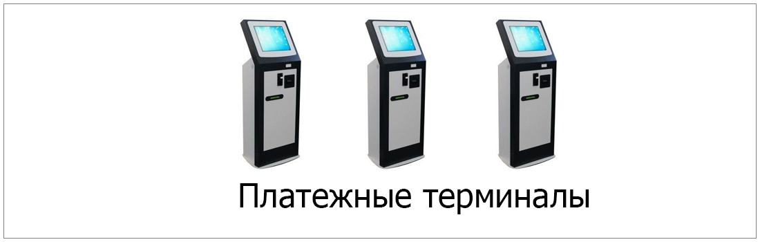 Payment through Terminal